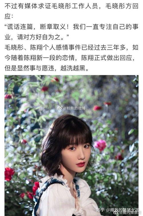 吃瓜娱乐圈大燕子